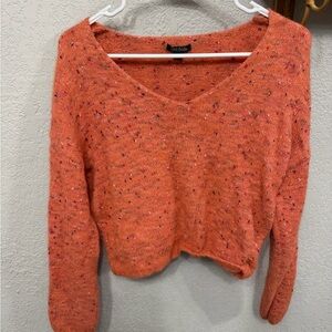 Wild Fable Orange Speckled V-Neck Sweater